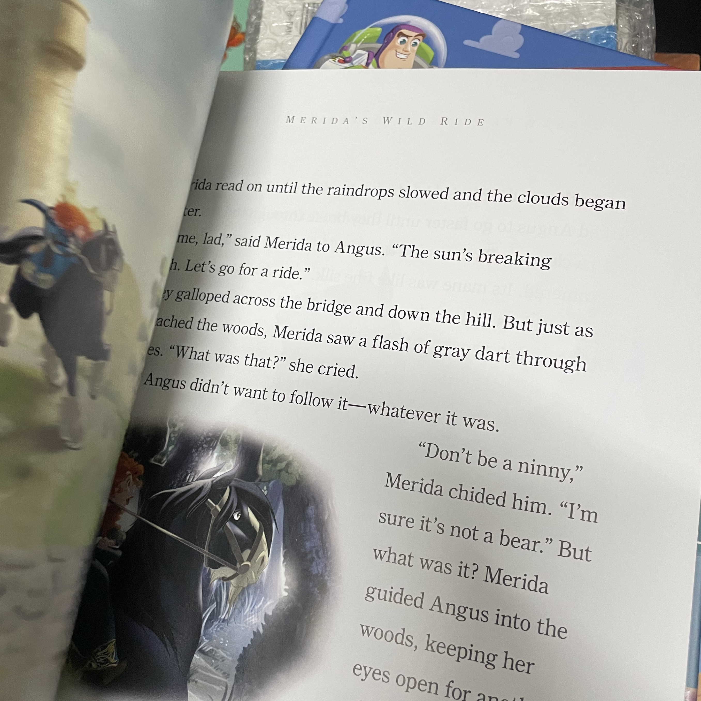 Disney / Princess storybook collection