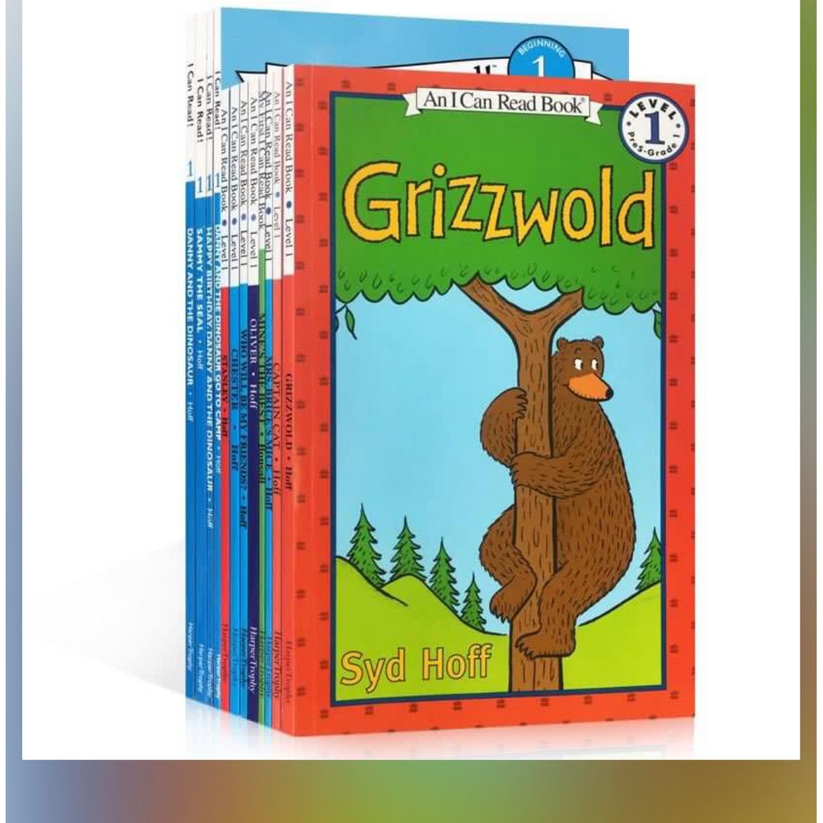 I can read 12 books L1