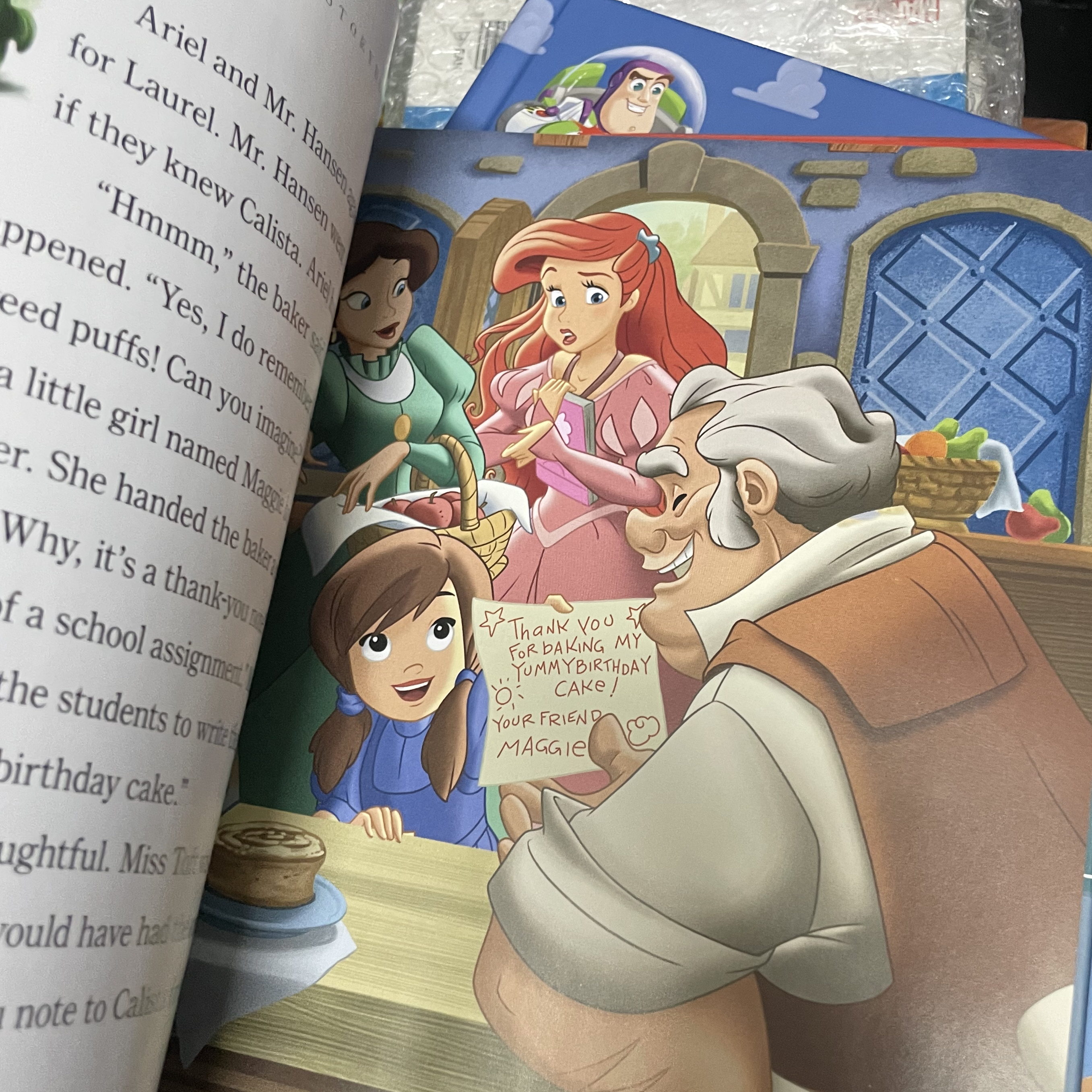 Disney / Princess storybook collection