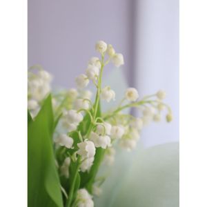 鈴蘭花束 時令限定4月至5月 So Floral