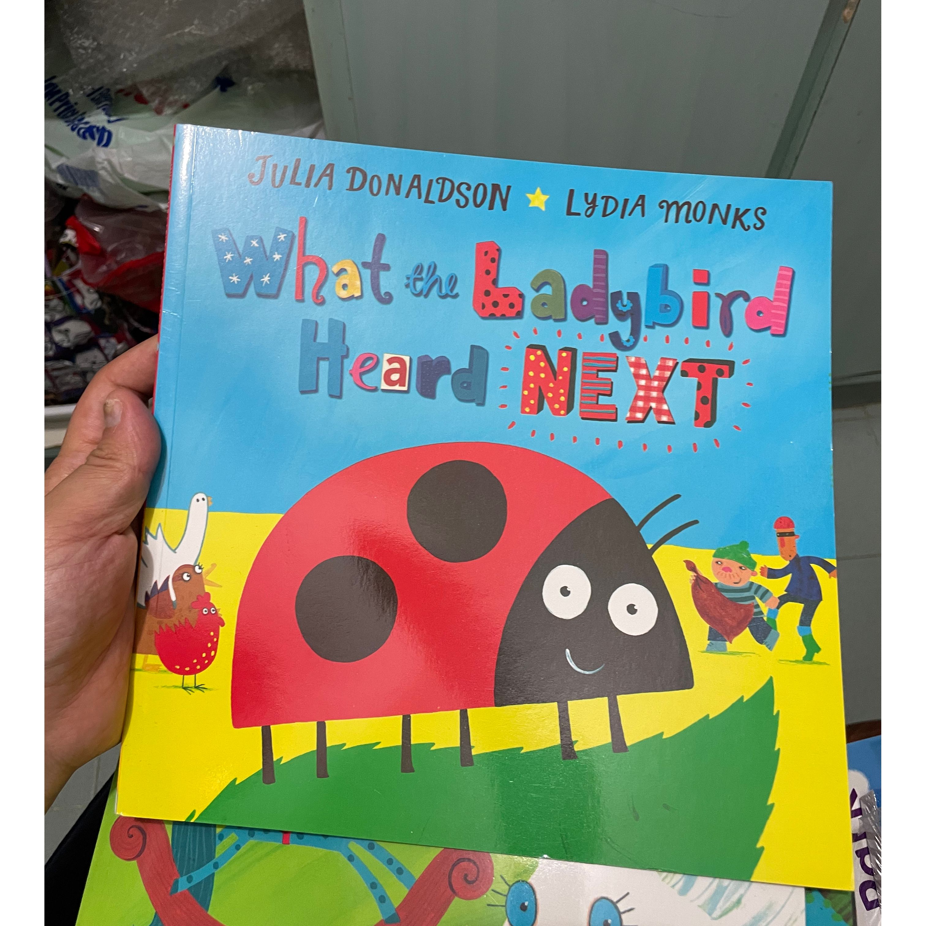 what the ladybird heard 2 books