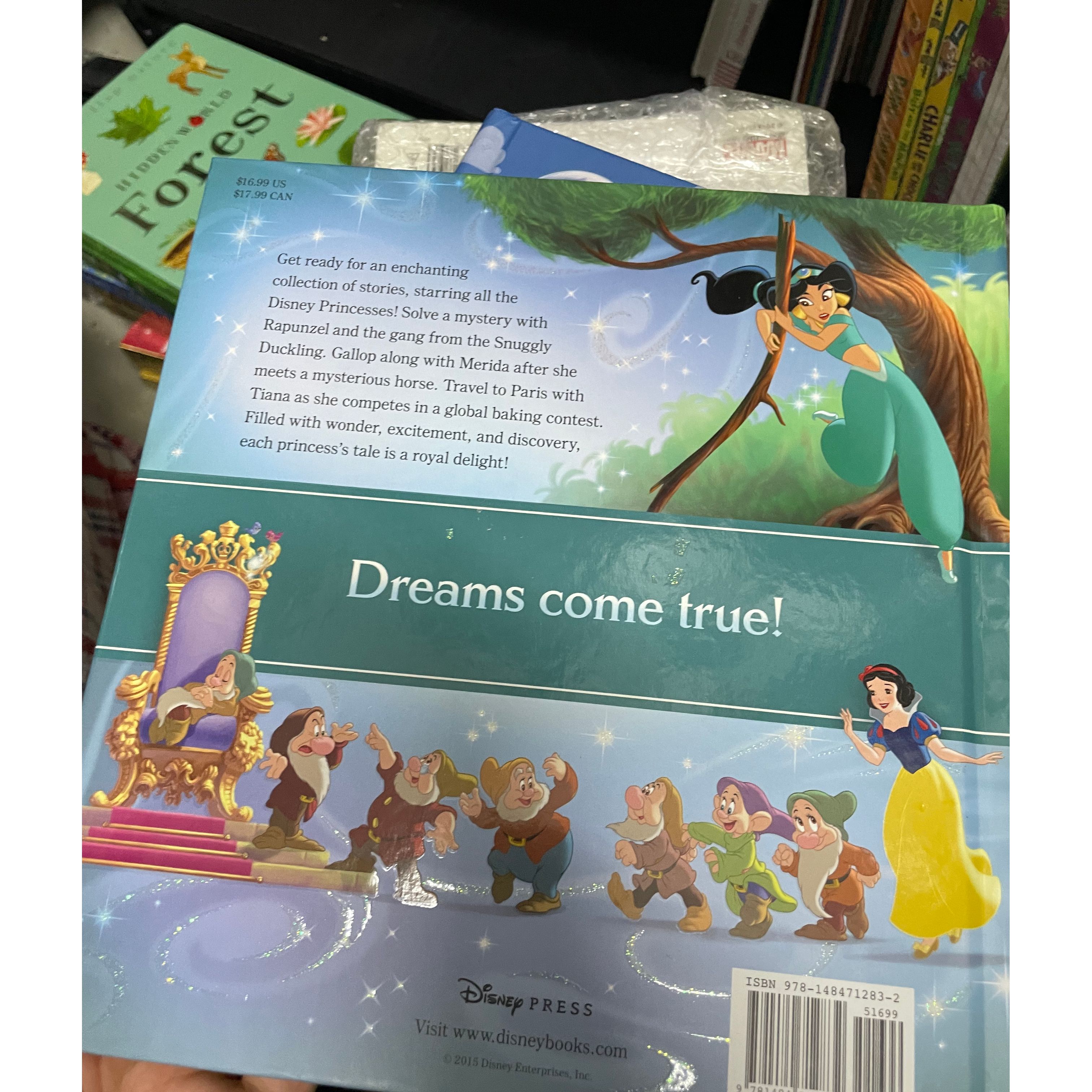 Disney / Princess storybook collection