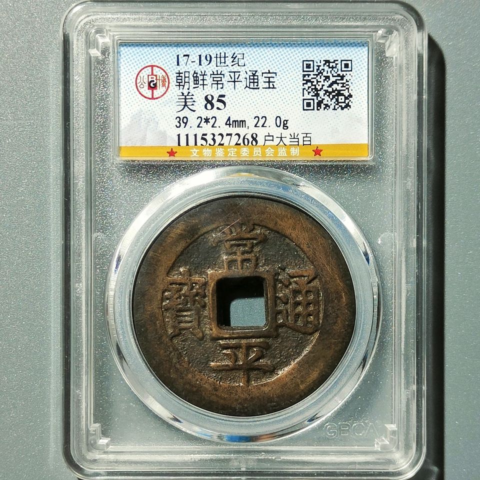 1866年頃 常平通宝 戸大富百 - 旧貨幣/金貨/銀貨/記念硬貨