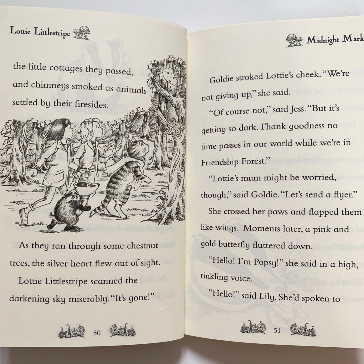 Magic animal friends box set