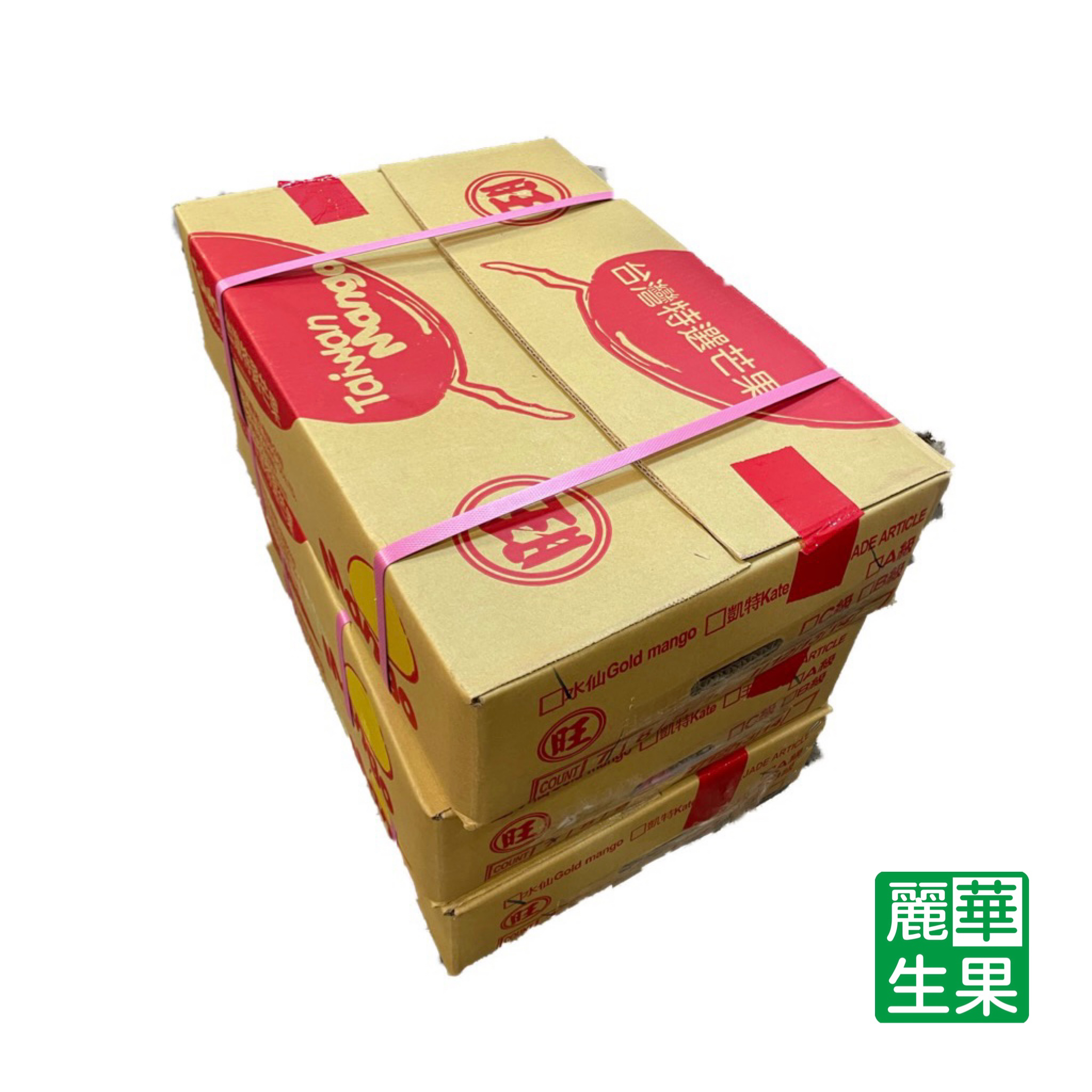 【特大台灣水仙芒】
