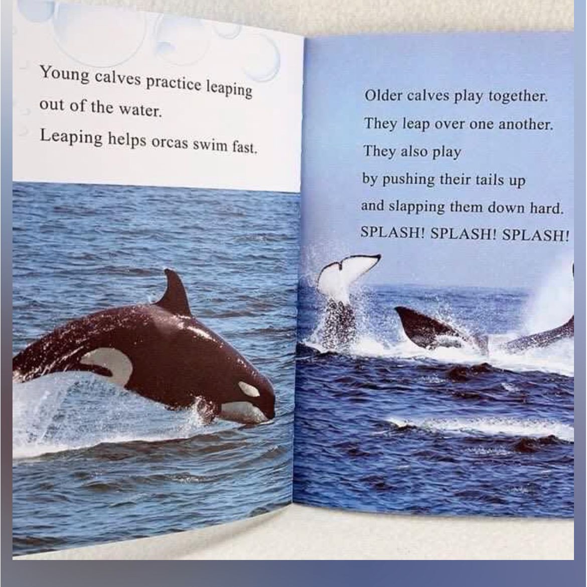 I can read 8 books animal story