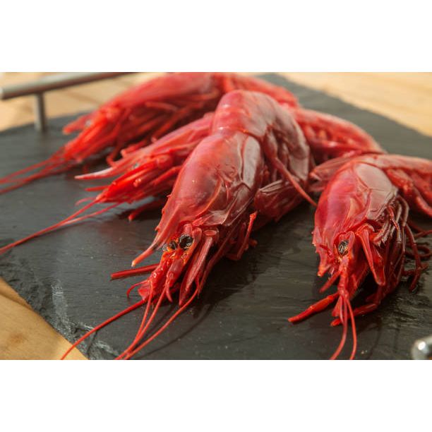 Frozen Moroccan Red Carabineros Prawn  (9-11pcs/pack)  急凍摩洛哥紅蝦  (9-11隻裝)