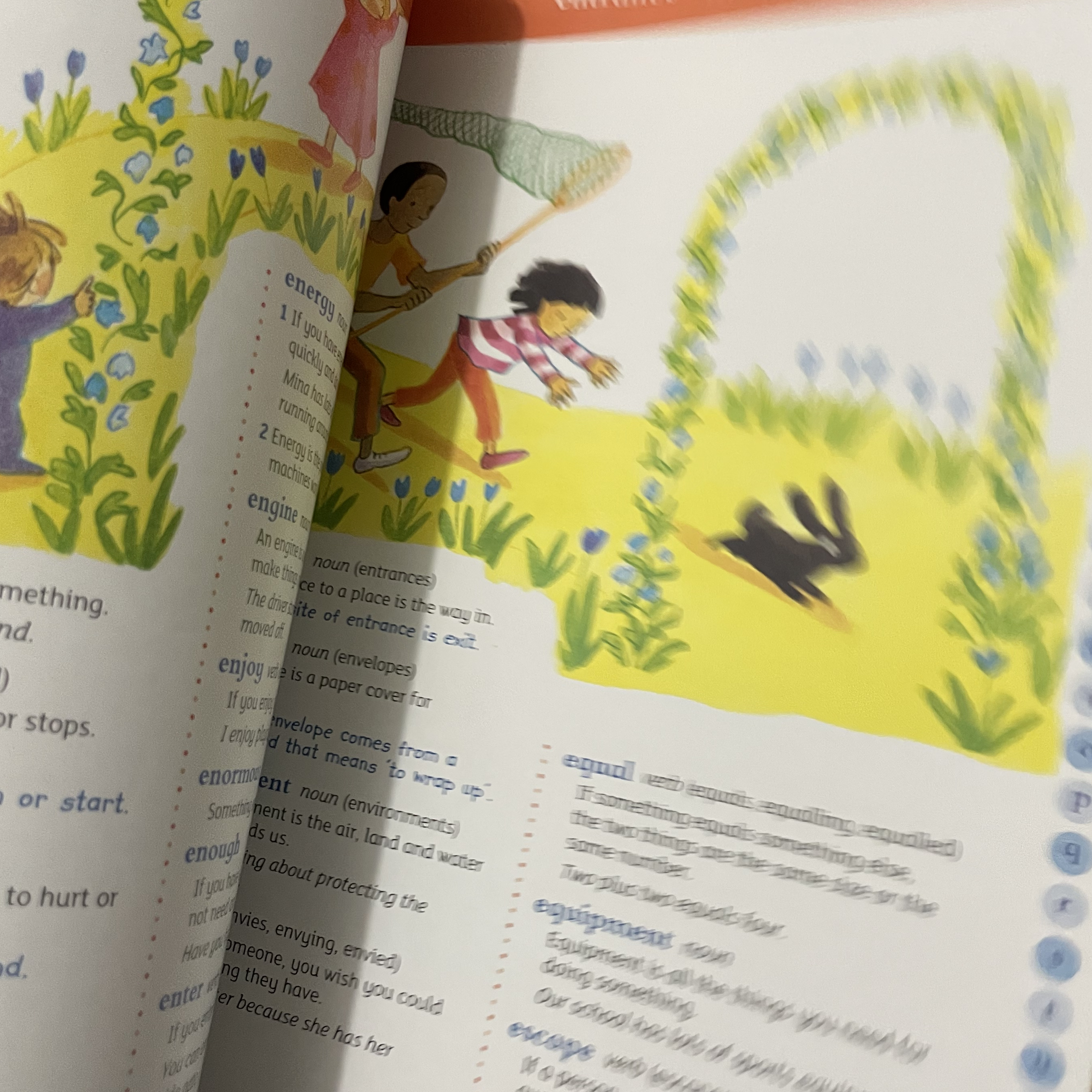 Oxford first illustrated dictionary