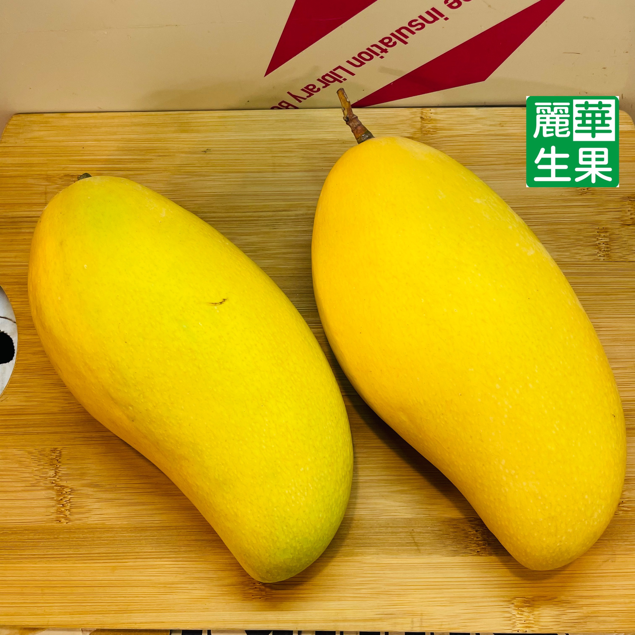 【特大台灣水仙芒】