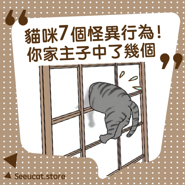 貓咪7個怪異行為！😼 》 | SeeüCat.store