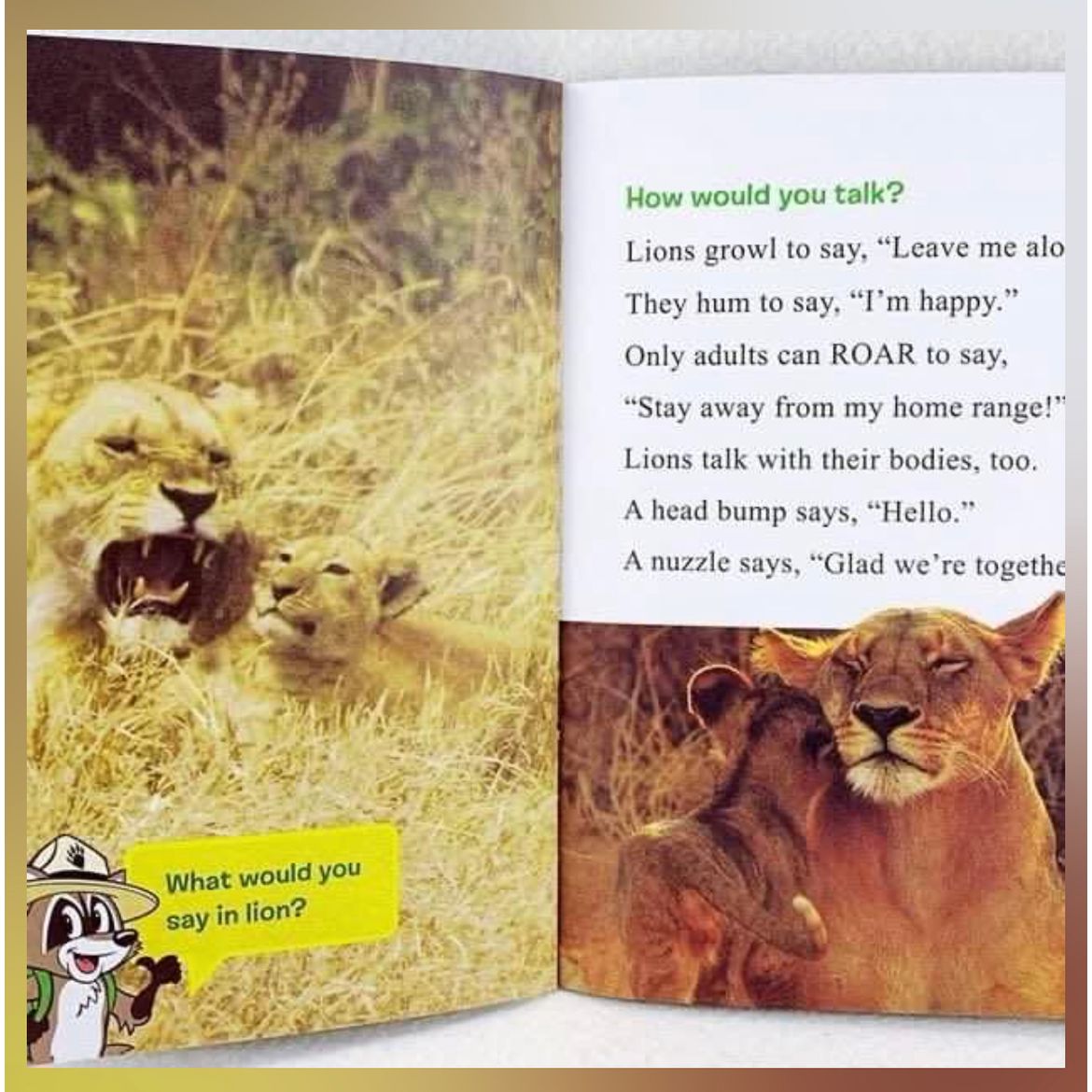 I can read 8 books animal story