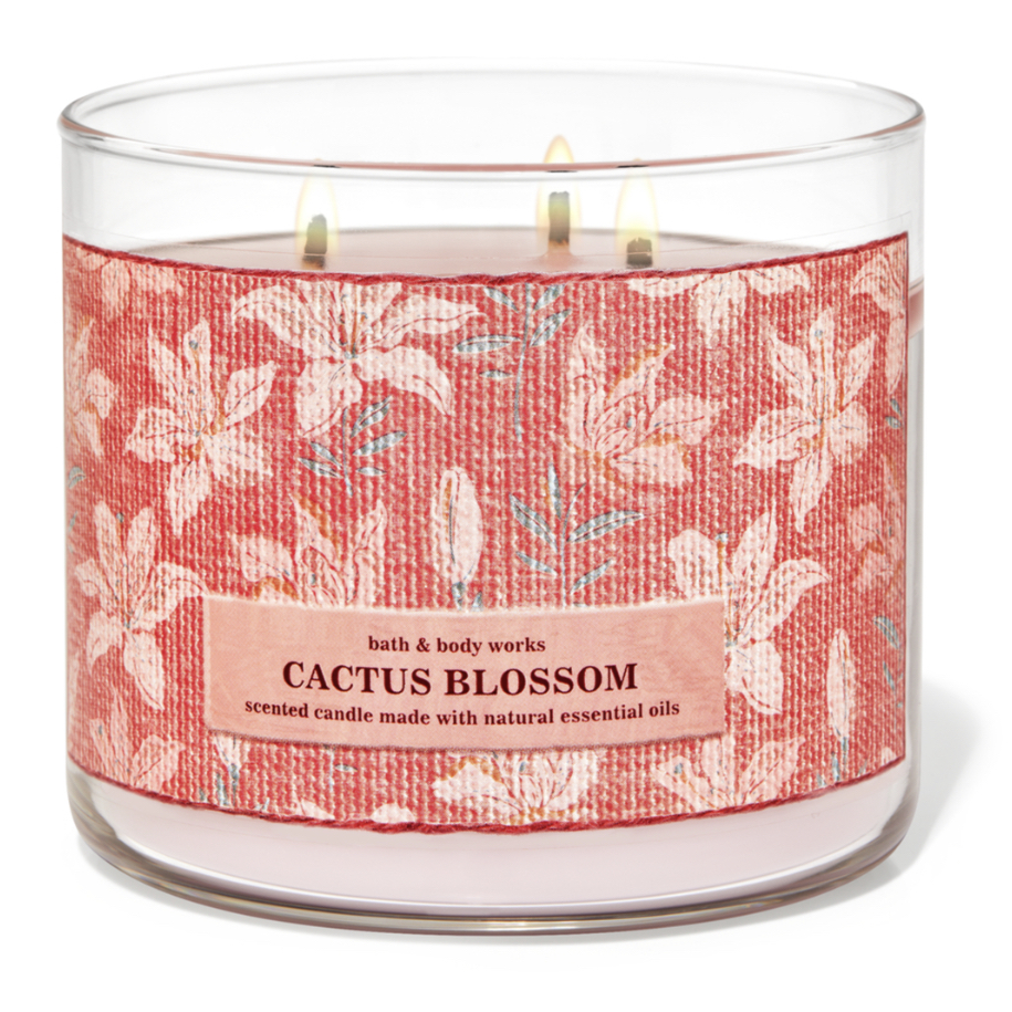 bath and body works cactus candle