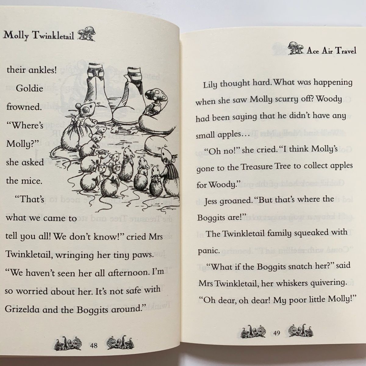 Magic animal friends box set