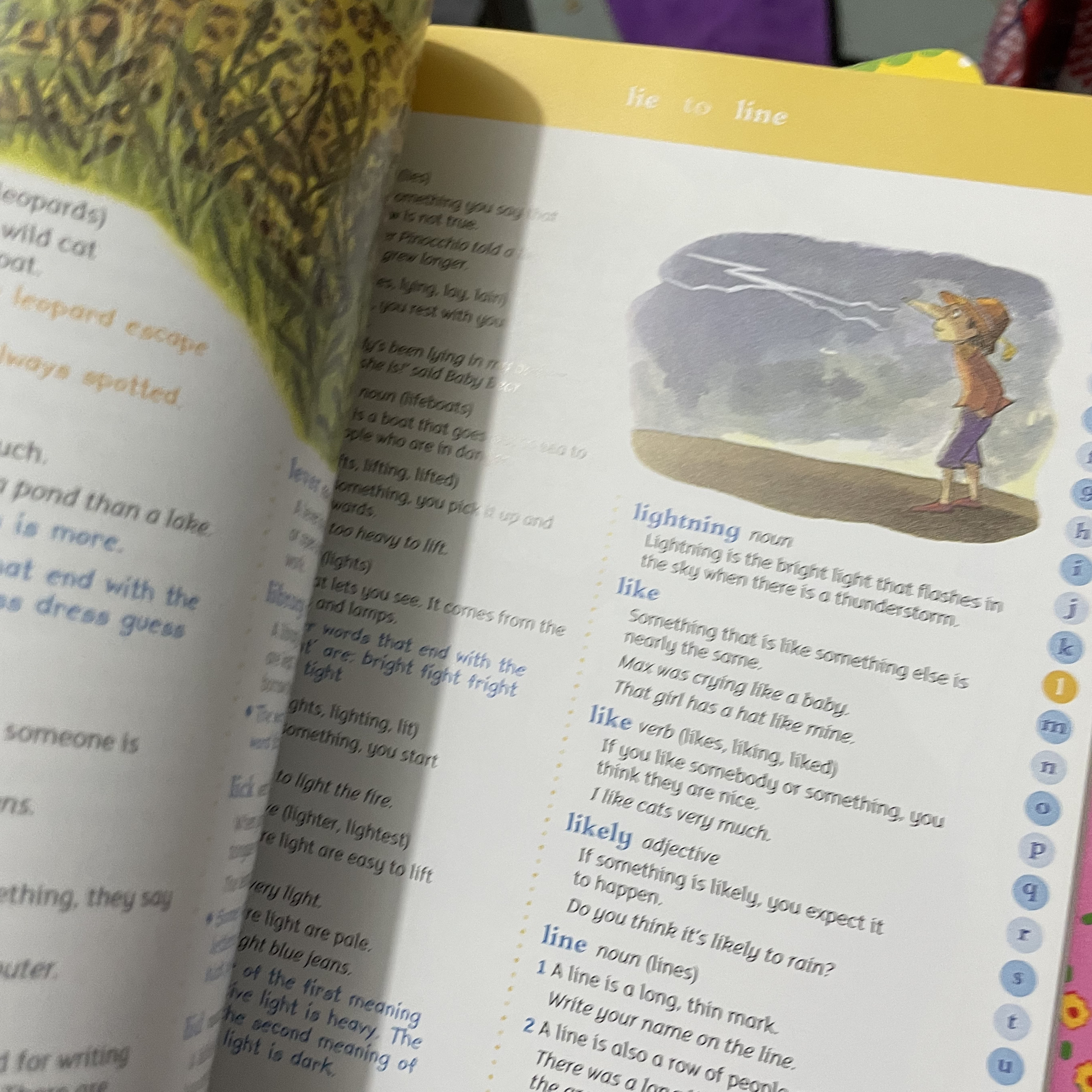 Oxford first illustrated dictionary