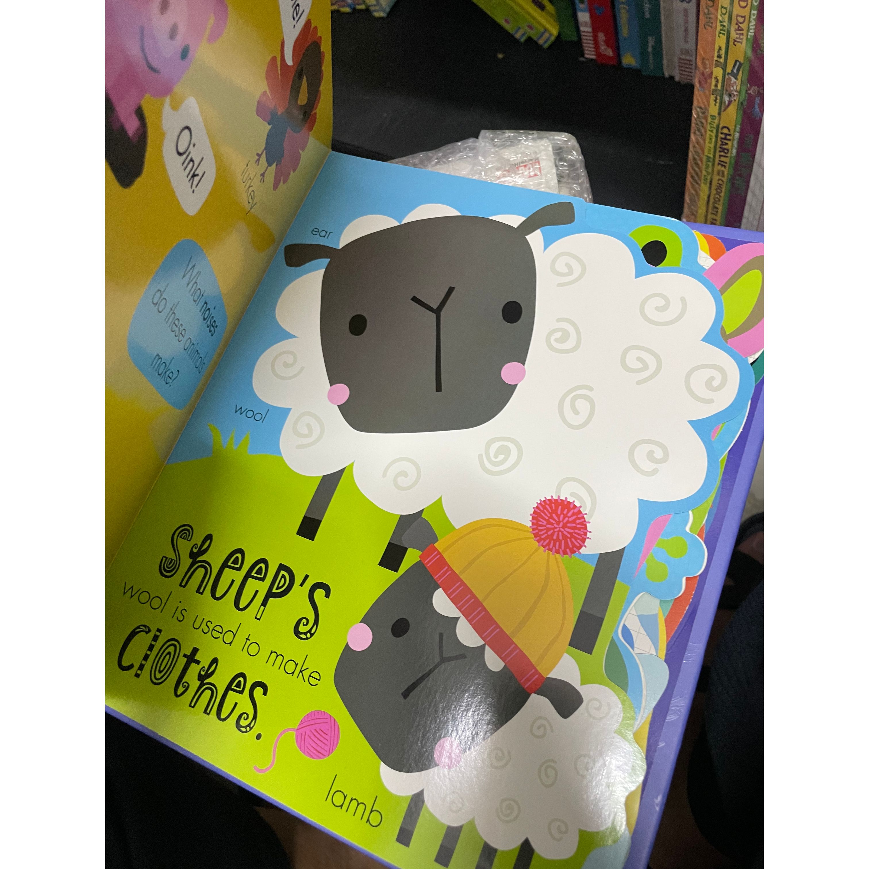 My awesone animal book 1 books