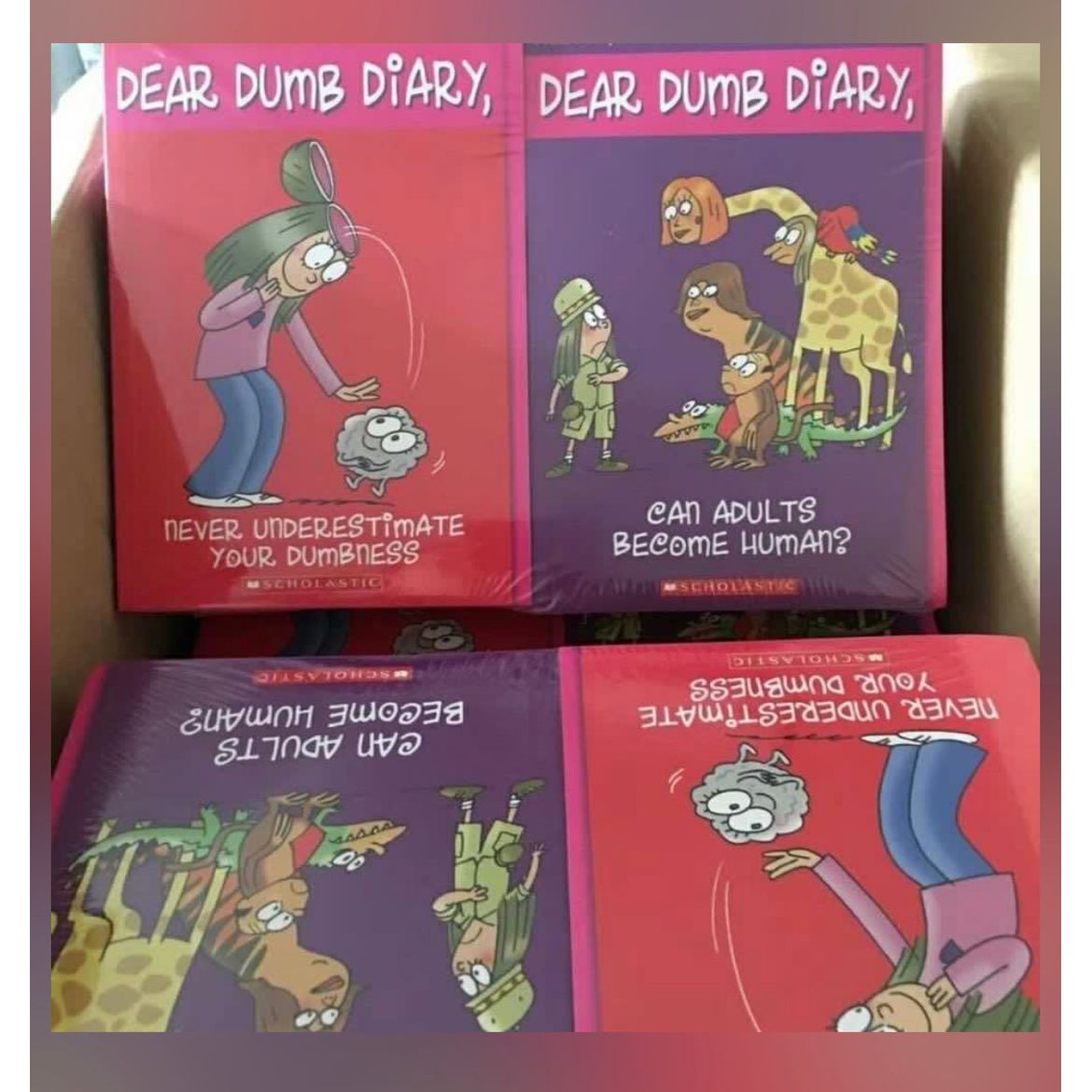 Dear Dumb Diary 1-12