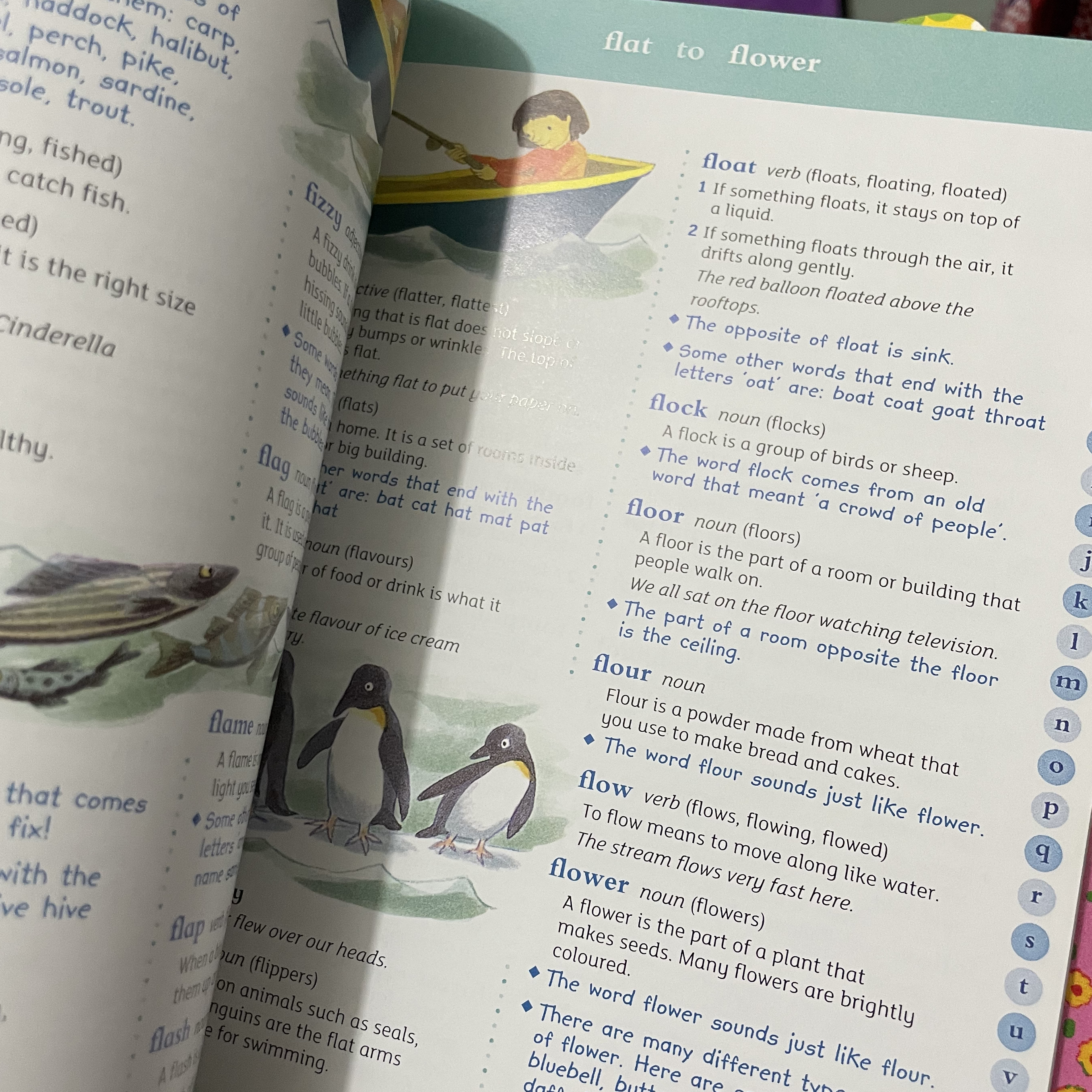 Oxford first illustrated dictionary