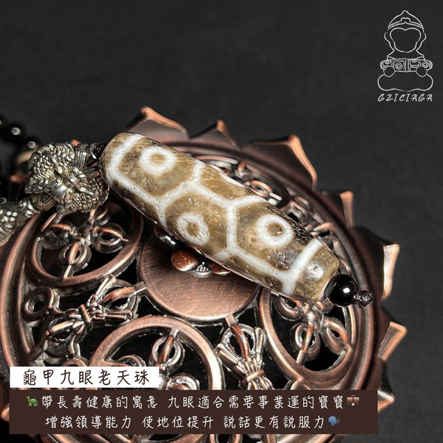 370天珠　亀甲長壽九眼天珠　上肯天珠　dzibeads！ 370天珠亀甲長壽九眼天珠上肯天珠dzibeads！