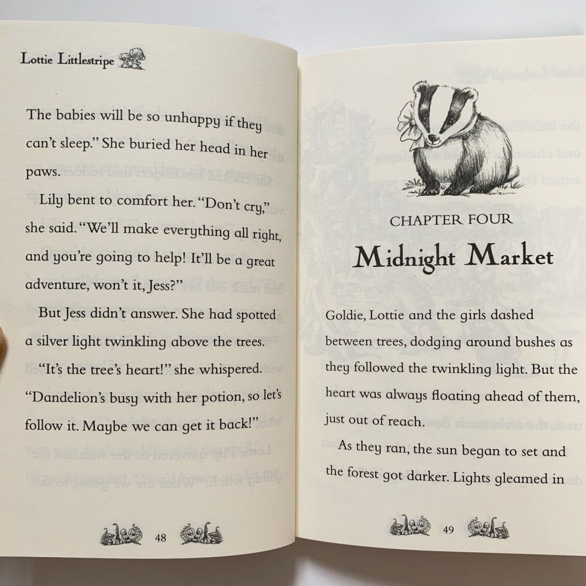 Magic animal friends box set