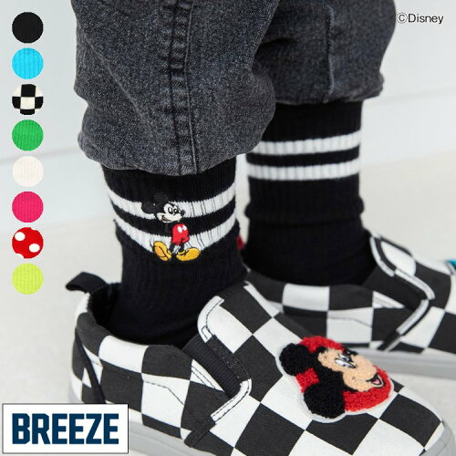 🆕【⭐訂購⭐】🇯🇵日本直送🌀#Disney 卡通人物刺繡圖案 中筒襪［8款選］🌀[ELAA-0237][260214]