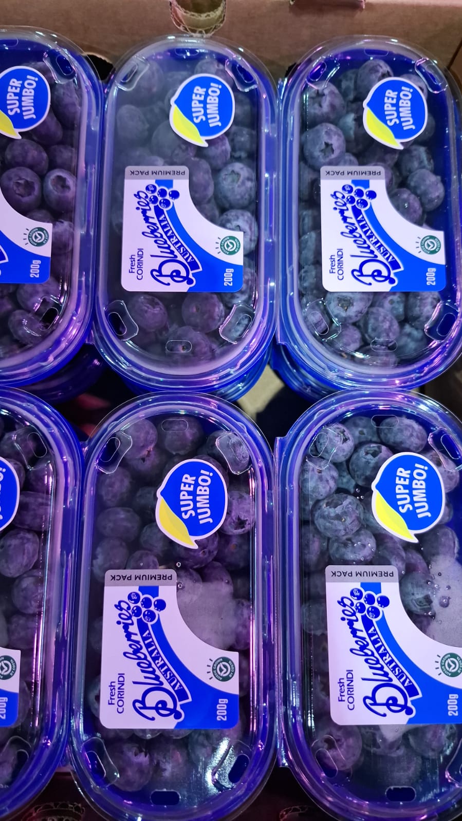 雲南高山jumbo大 蓝莓 每份两盒