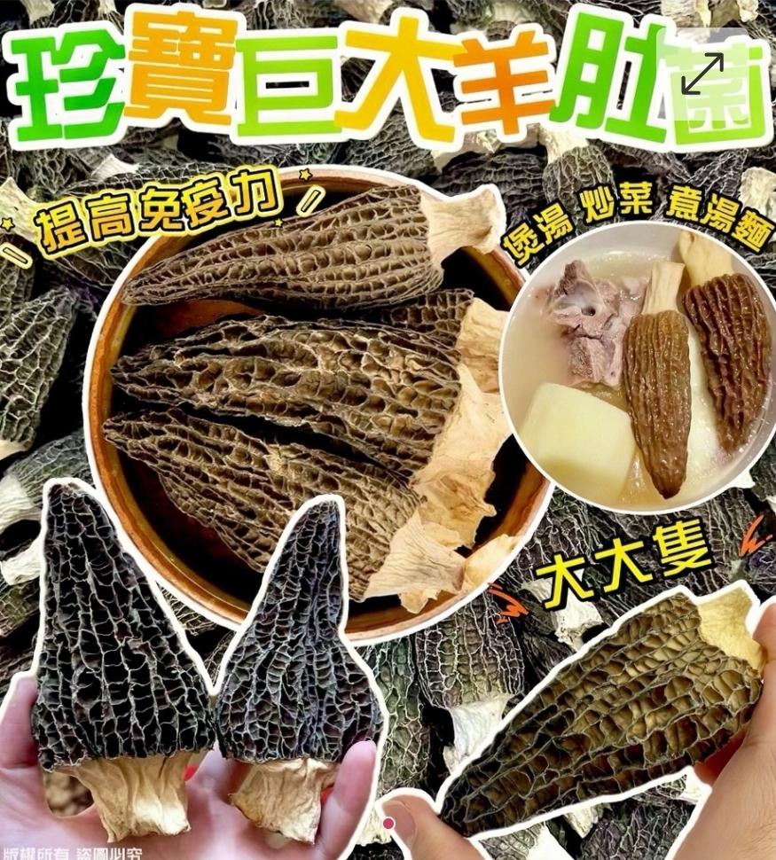 買2包起每包優惠$10珍寶巨大羊肚菌