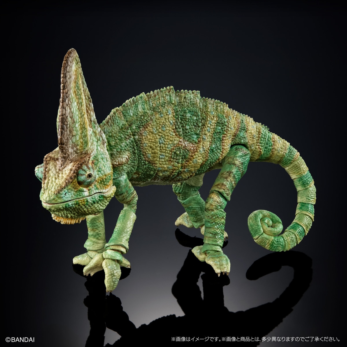 (預訂訂金 $200) (總價 $605) (Gashapon Online 限定) Bandai The Diversity of Life on Earth Premium Chamaeleo Calyptratus 生物大圖鑑 Premium 高冠變色龍 扭蛋 (行版) 