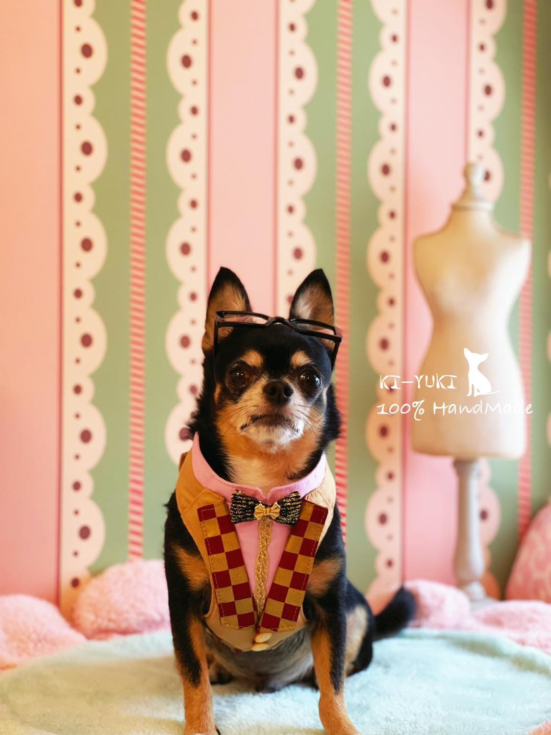 原創設計 寵物造型胸背帶 特價