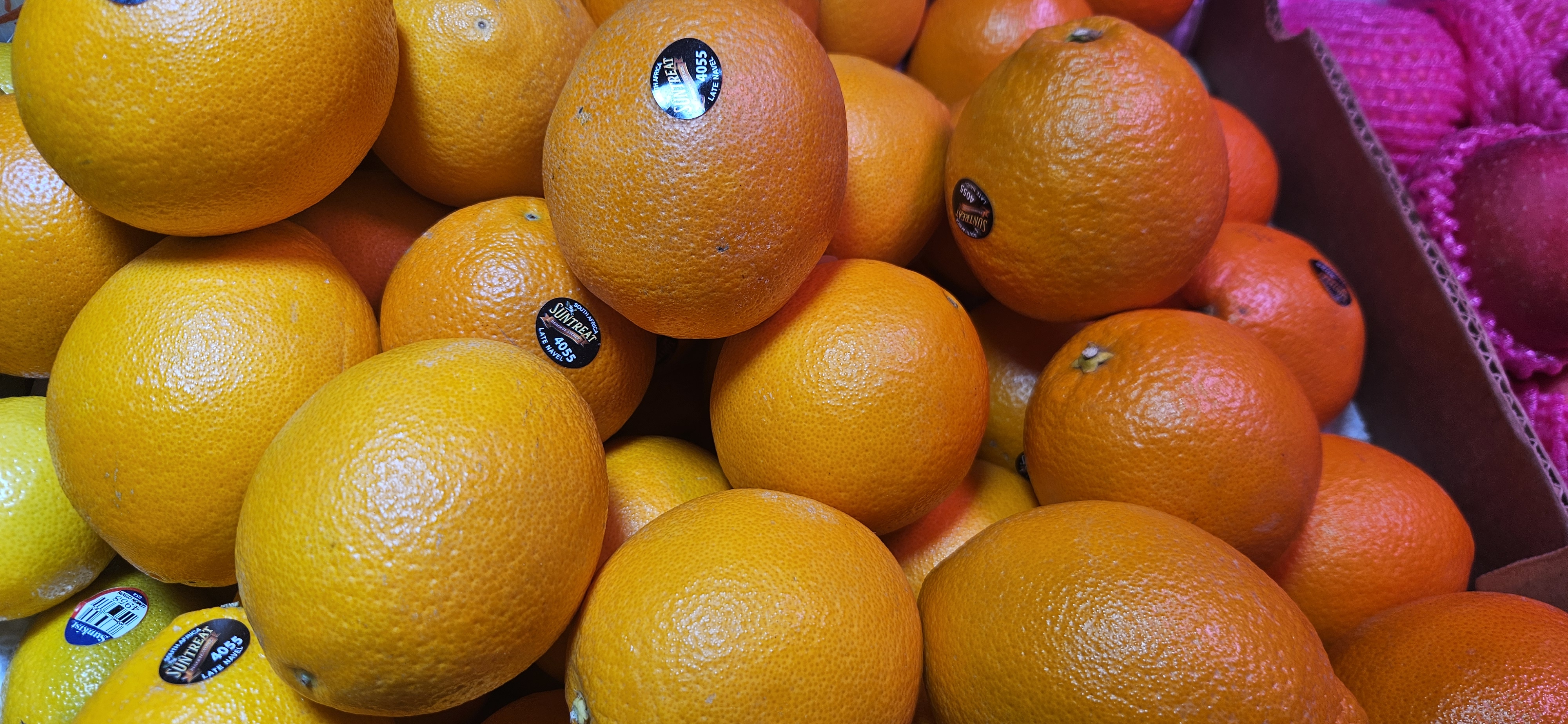 南非黑牌甜橙（88装） 每份3個