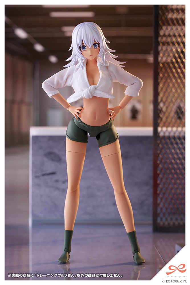 (預訂訂金 $100) (總價 $309) 壽屋 Kotobukiya 創彩少女庭園 訓練狼 模型 Training WOLF (KO08495) (行版) 