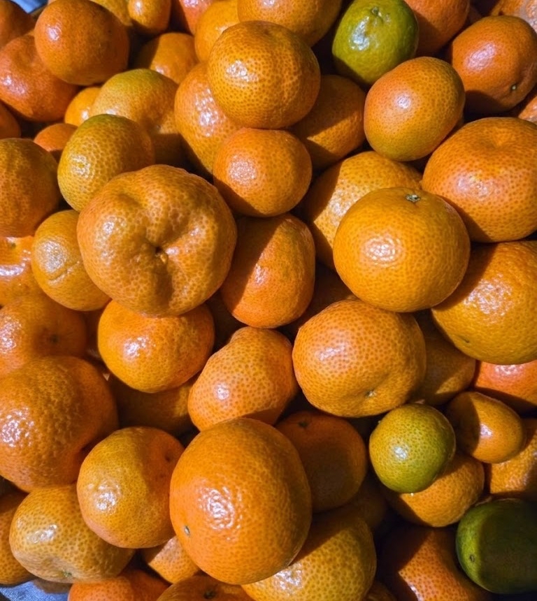 Bunnyville 兔兔酒 - 砂糖橘酒 Clementine Liquor