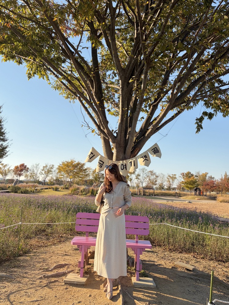 Plain Knit Skater Skirt (Oatmeal)