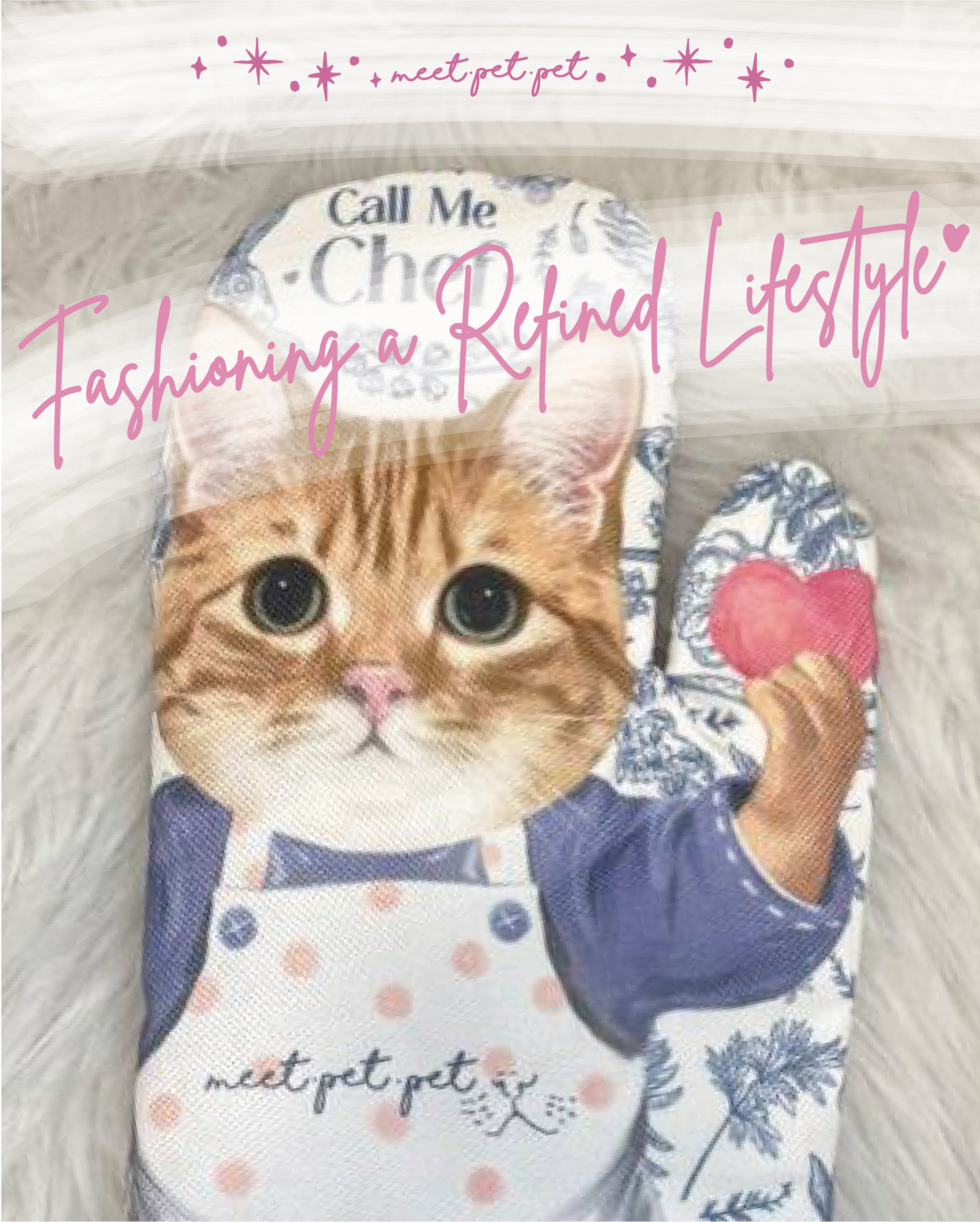 ⋆ 黃貓 ⋆ 隔熱手套 ⋆ Tabby ⋆