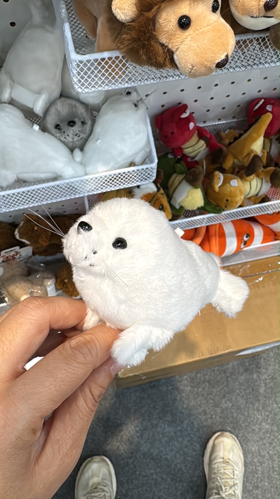 Auskommen 胸帶公仔扣