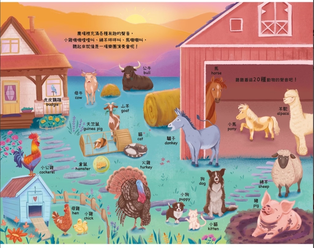 禾流 聽見100種聲音 我知道這些可愛的動物