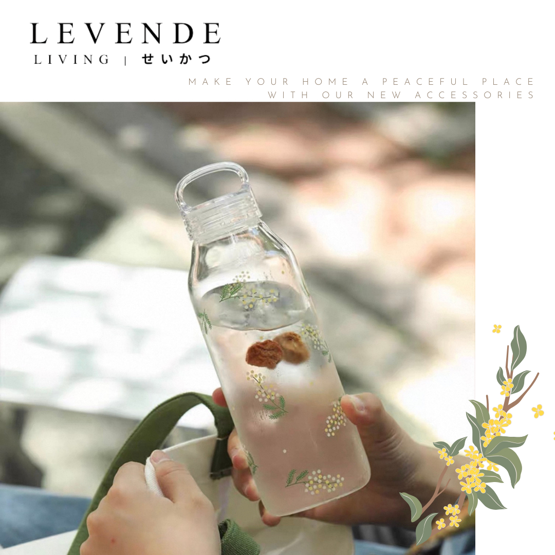 Levende 含羞草高硼硅耐熱手提玻璃瓶