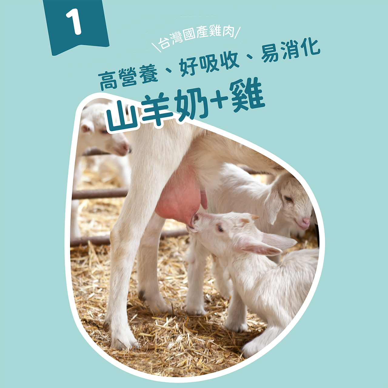貓有話說｜Ω-3 魚油｜捏一口｜功能型主食蒸煮鮮肉泥 16g x 4