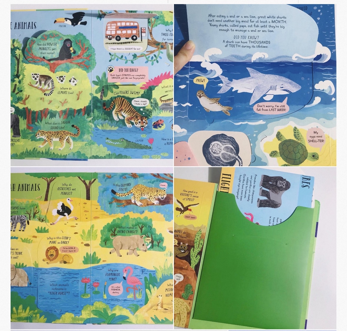 這是一系列 《QUESTIONS and ANSWERS》 翻翻書 usborne出版社