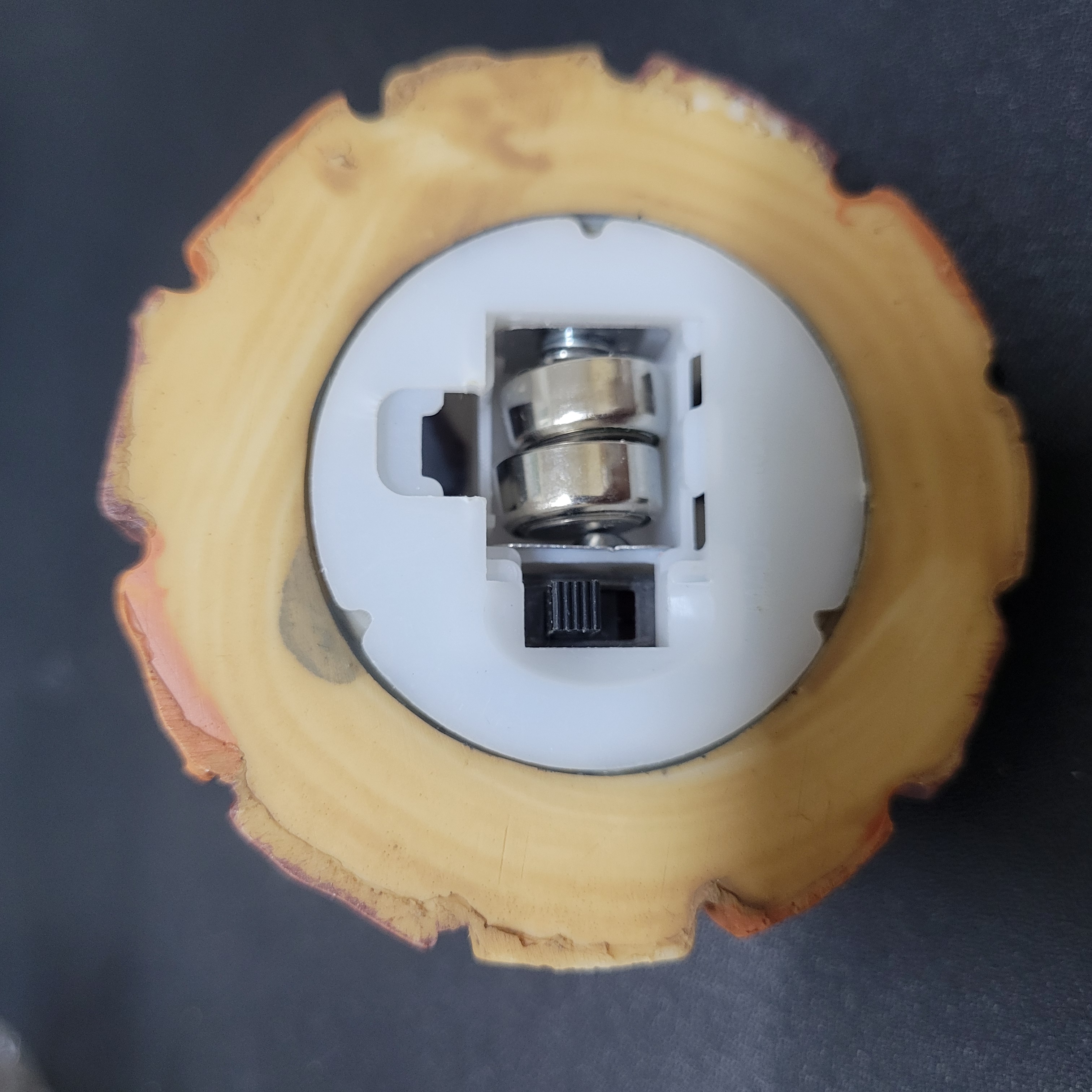 森林家族配件R0311