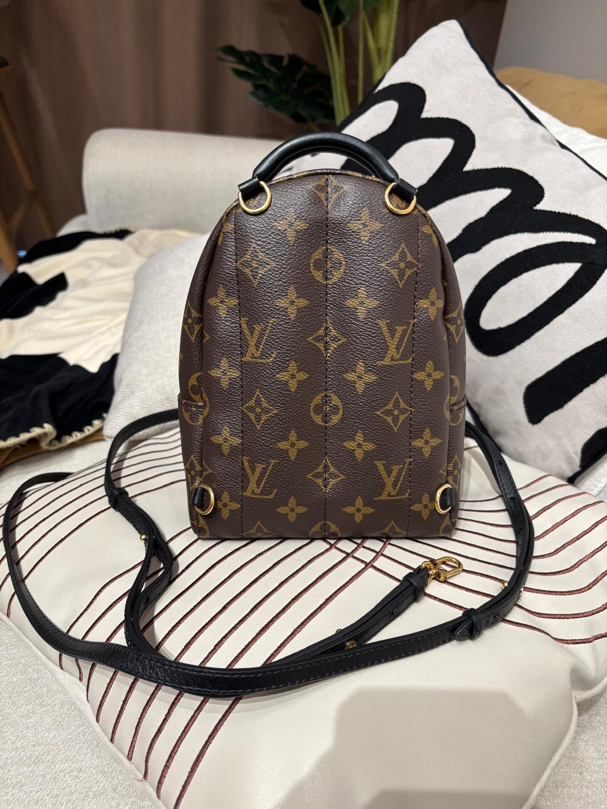 Lv mini Palm Springs backpack M44873 100%Authentic ,98%new ✅dust bag✅Strap