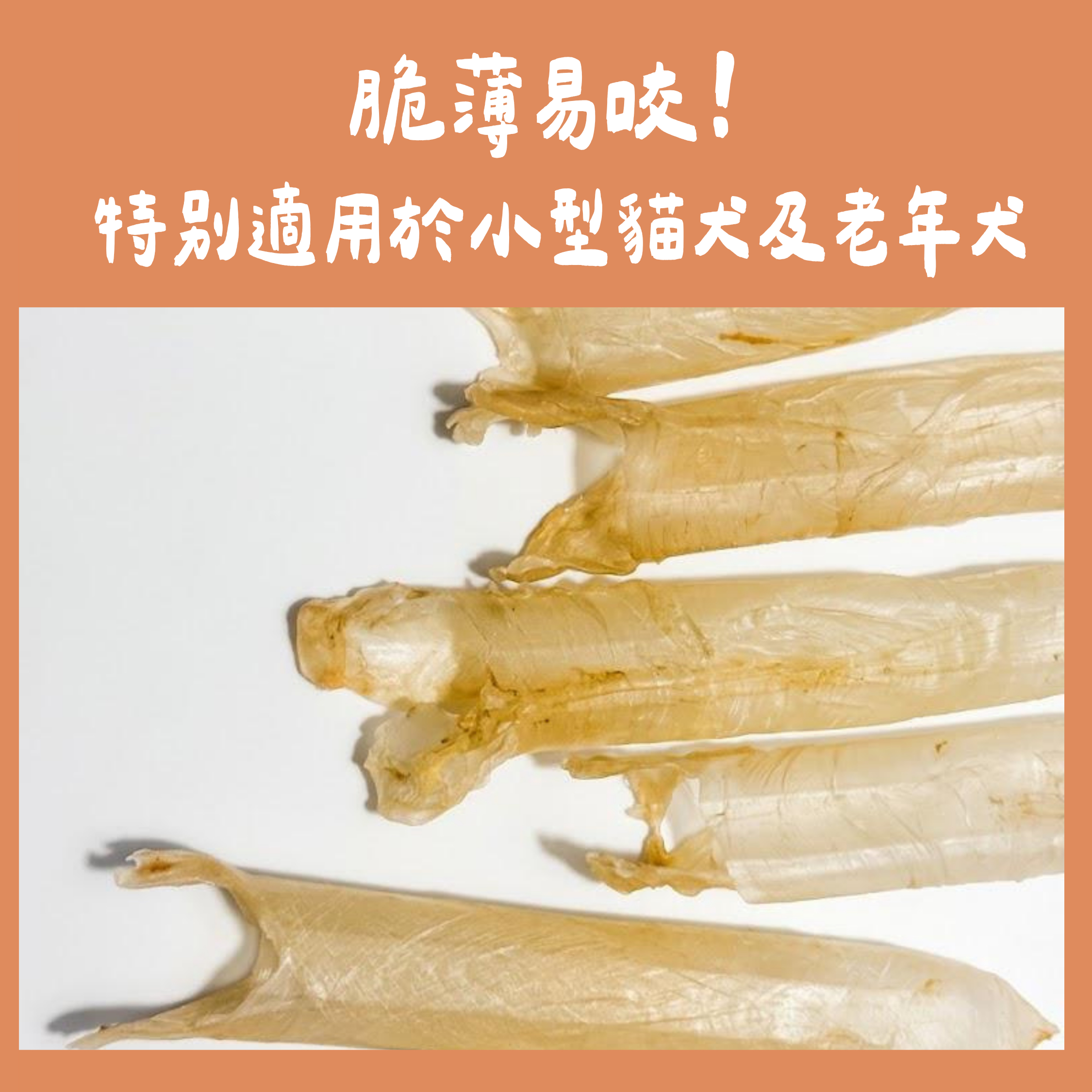 寵物養生花膠