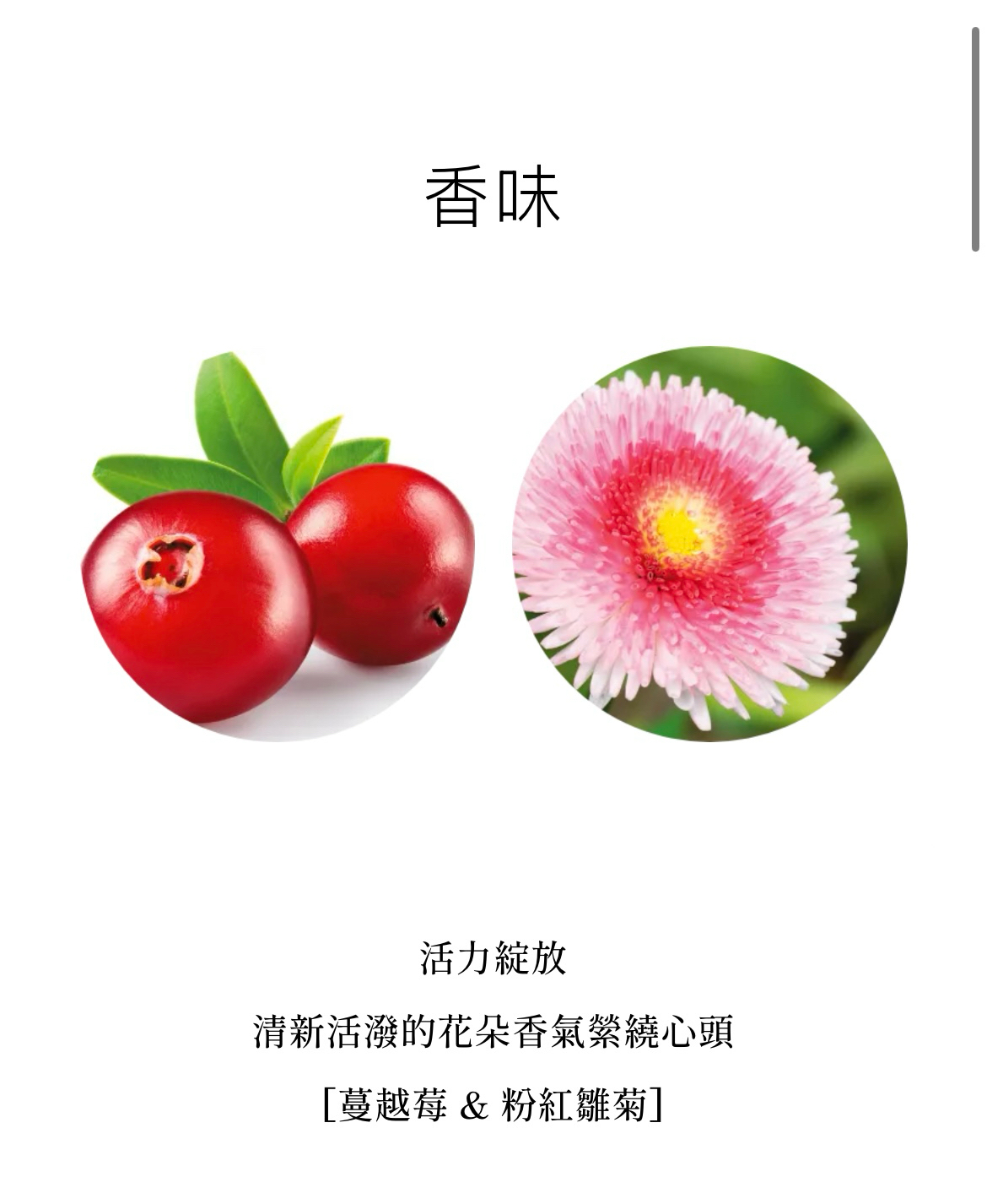 Milbon Color Preserve Color Retaining Shampoo 染後鎖色洗髮露 200ml