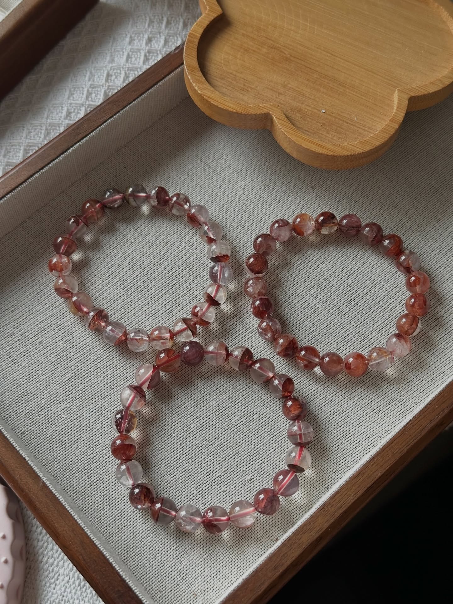 红胶花 | Hematoid 