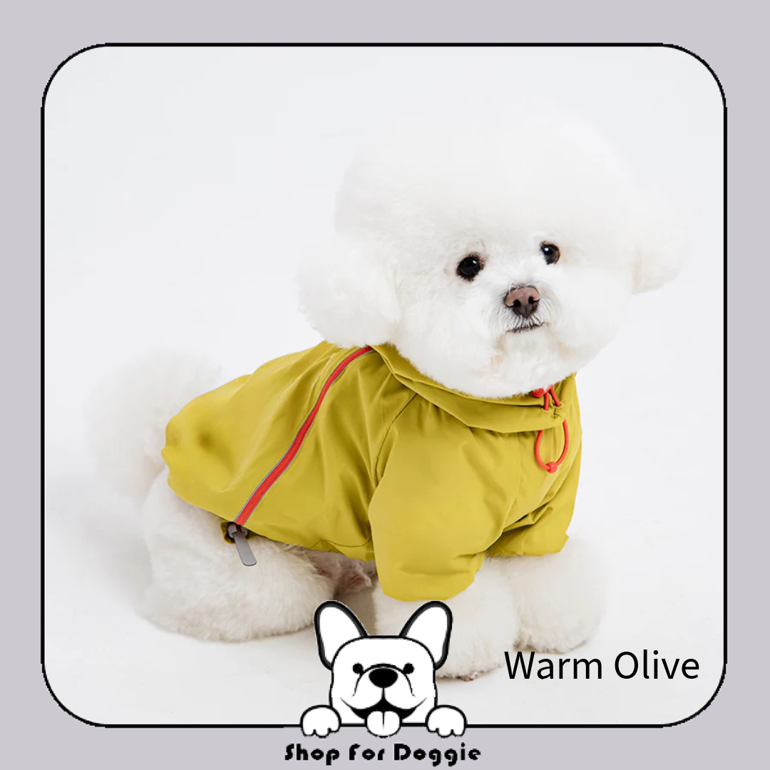 韓國 Latta Filmcover Jacket windbreaker