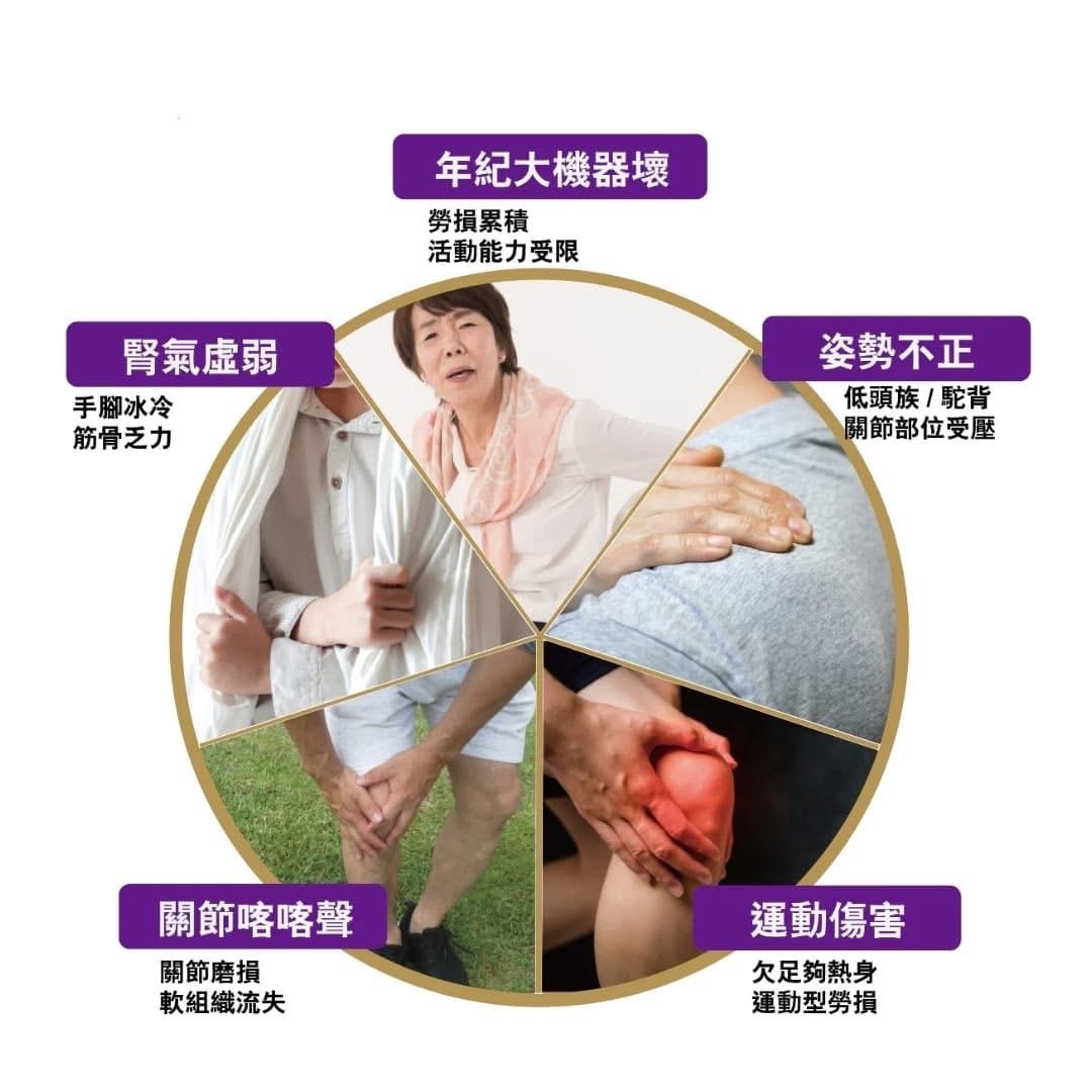 台灣直送 維骨美關節潤滑果凍