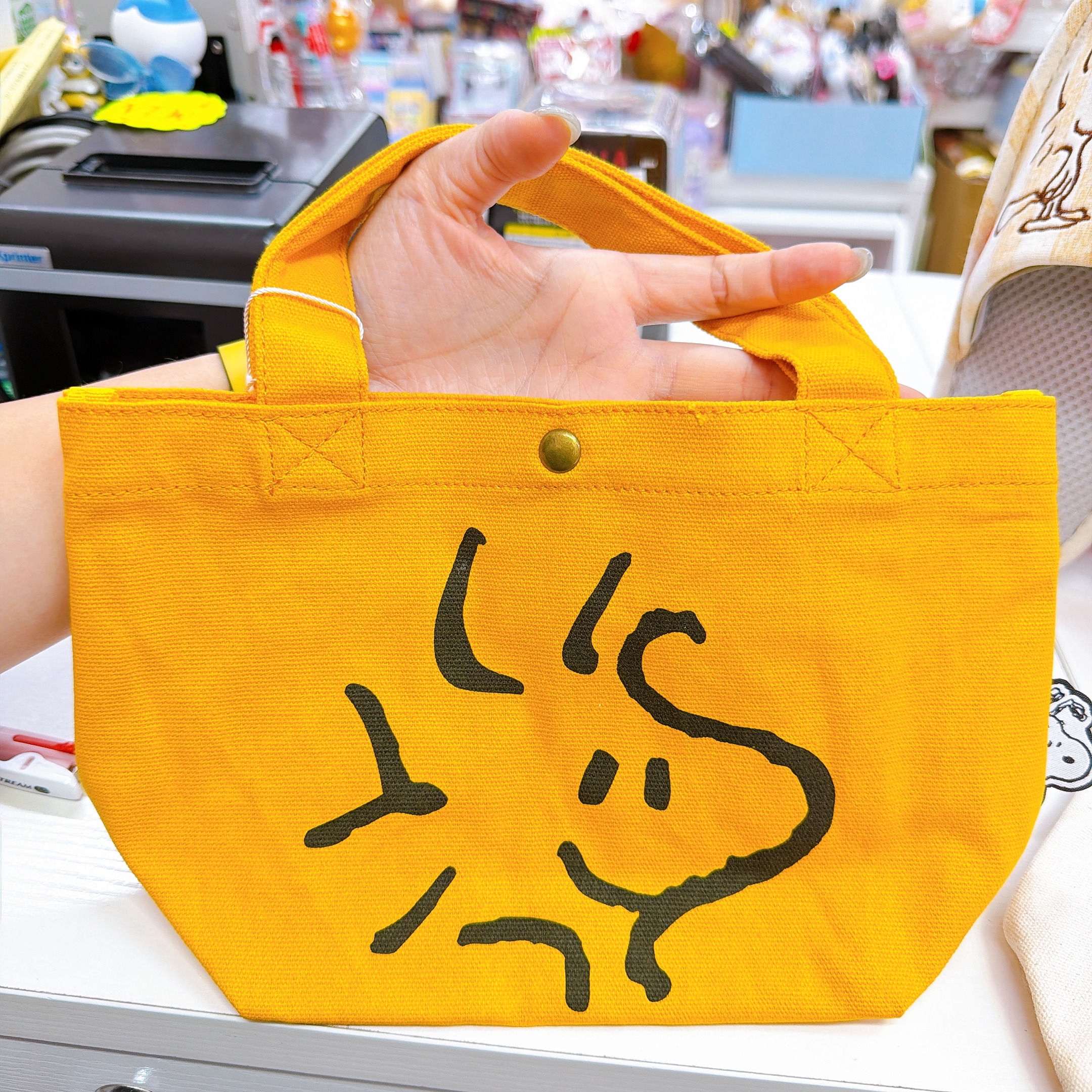 日本直送snoopy 手挽袋/拖鞋