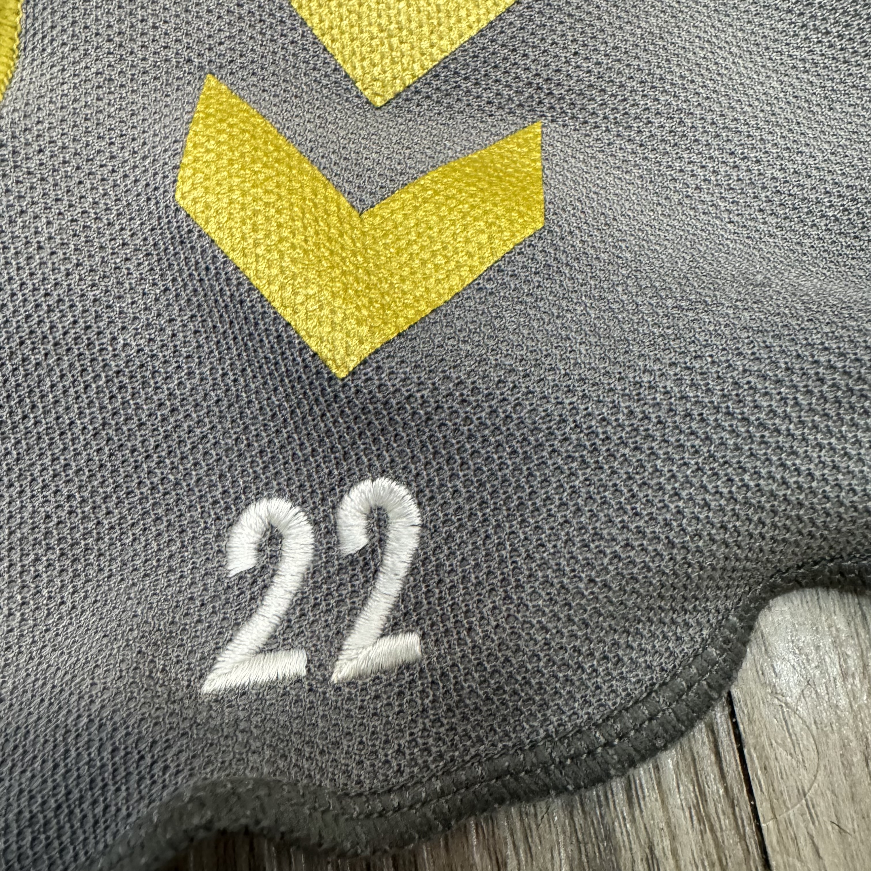 鳥取SC SC tottori player issued/worn training shirt #22