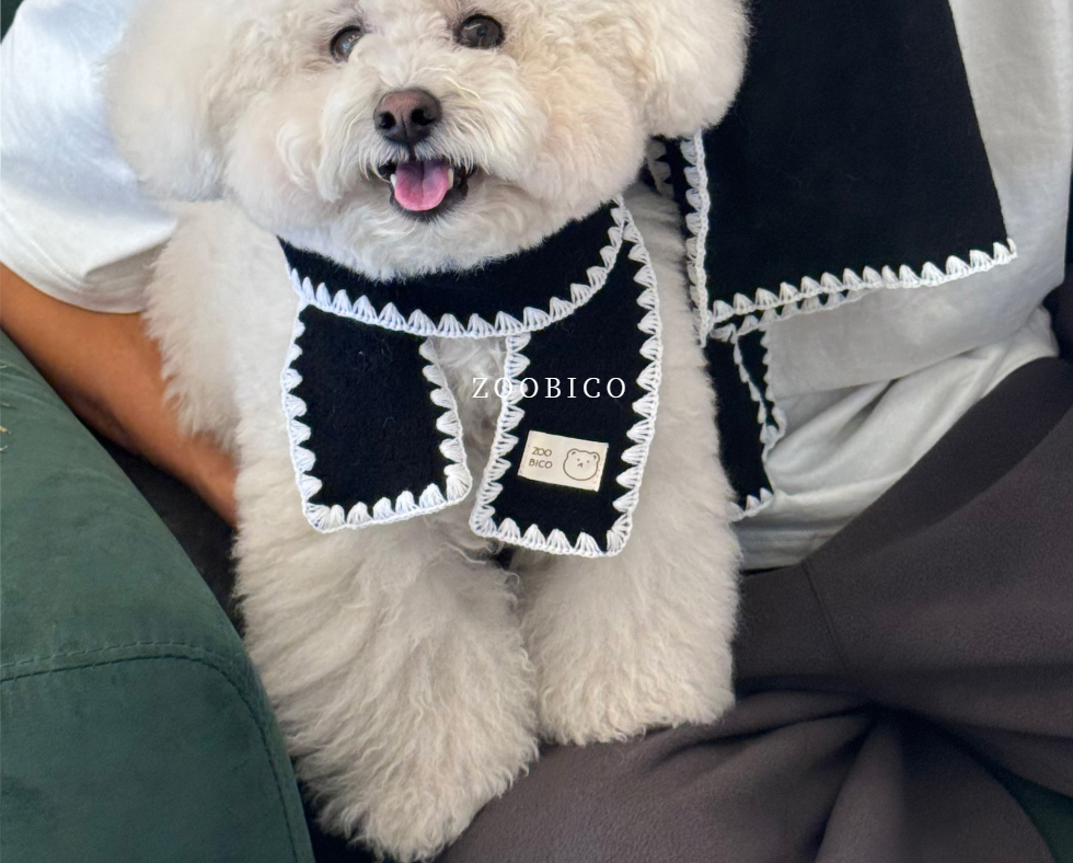 🇰🇷100% 純羊毛冬季暖心圍巾 (主人與毛孩親子組)