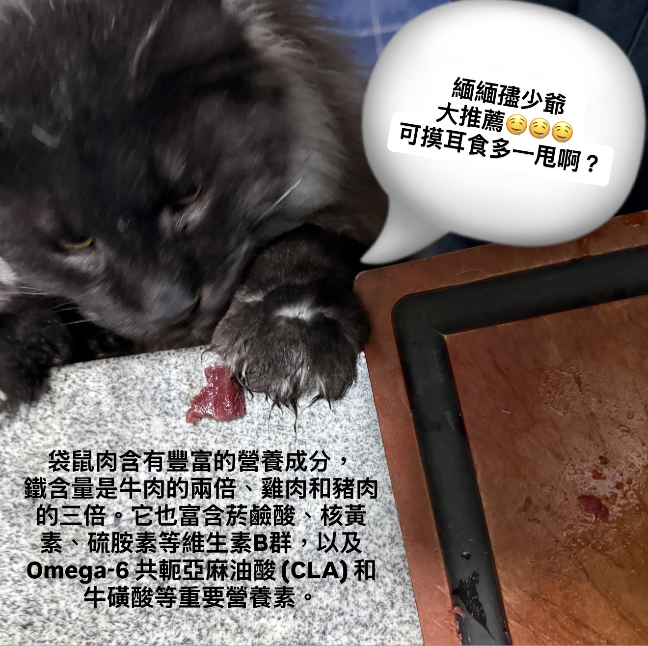 澳洲Malleeroo袋鼠肉