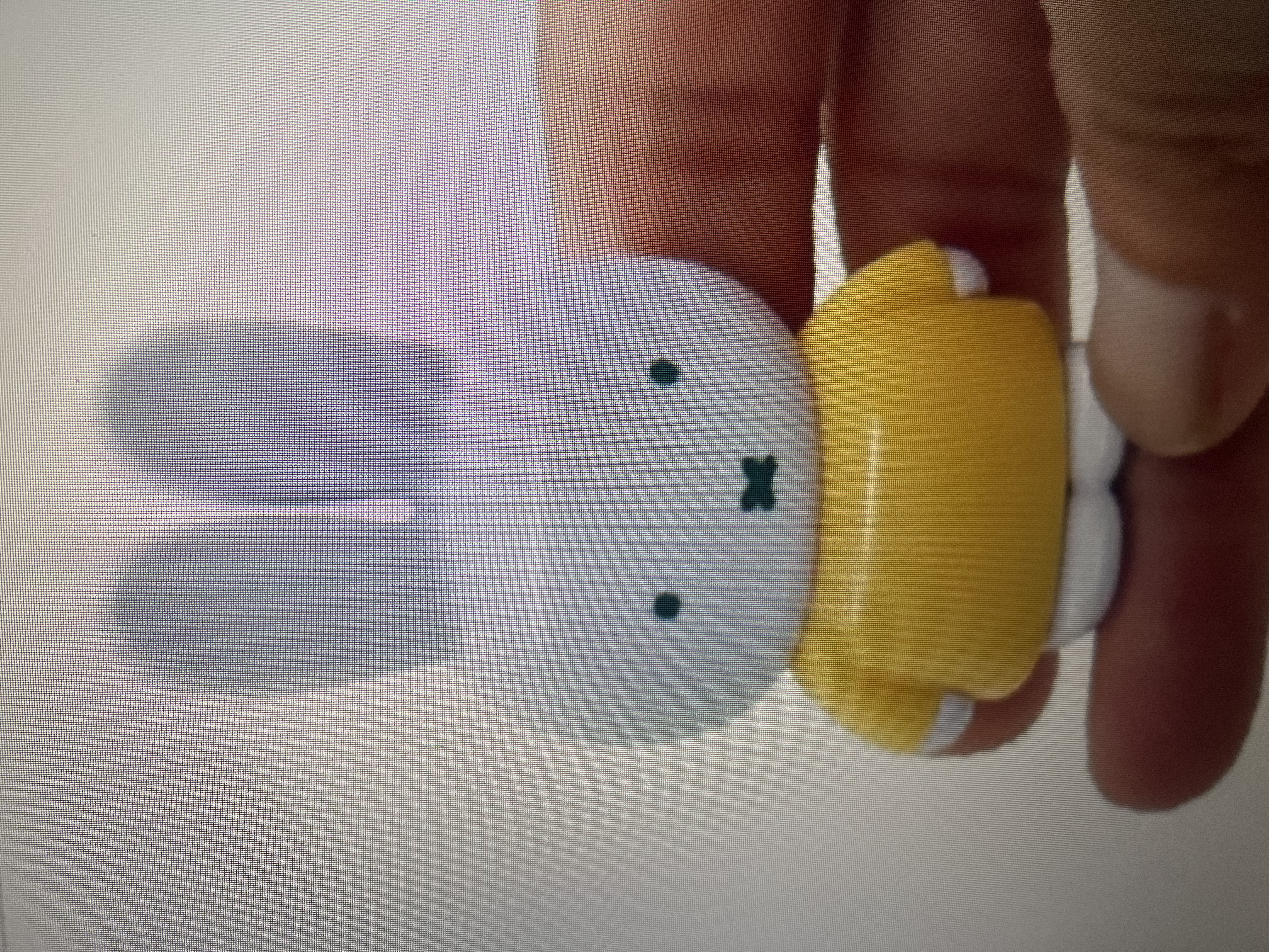 Miffy mascot pockets公仔